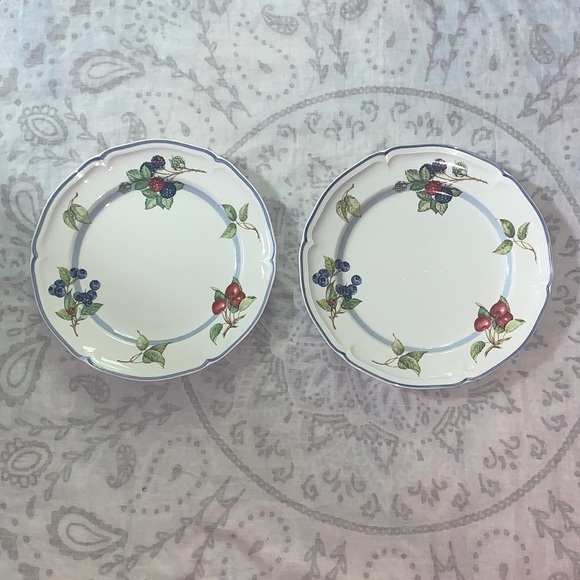 Set of VILLEROY BOCH Cottage Dinner Plates Porcelain Country